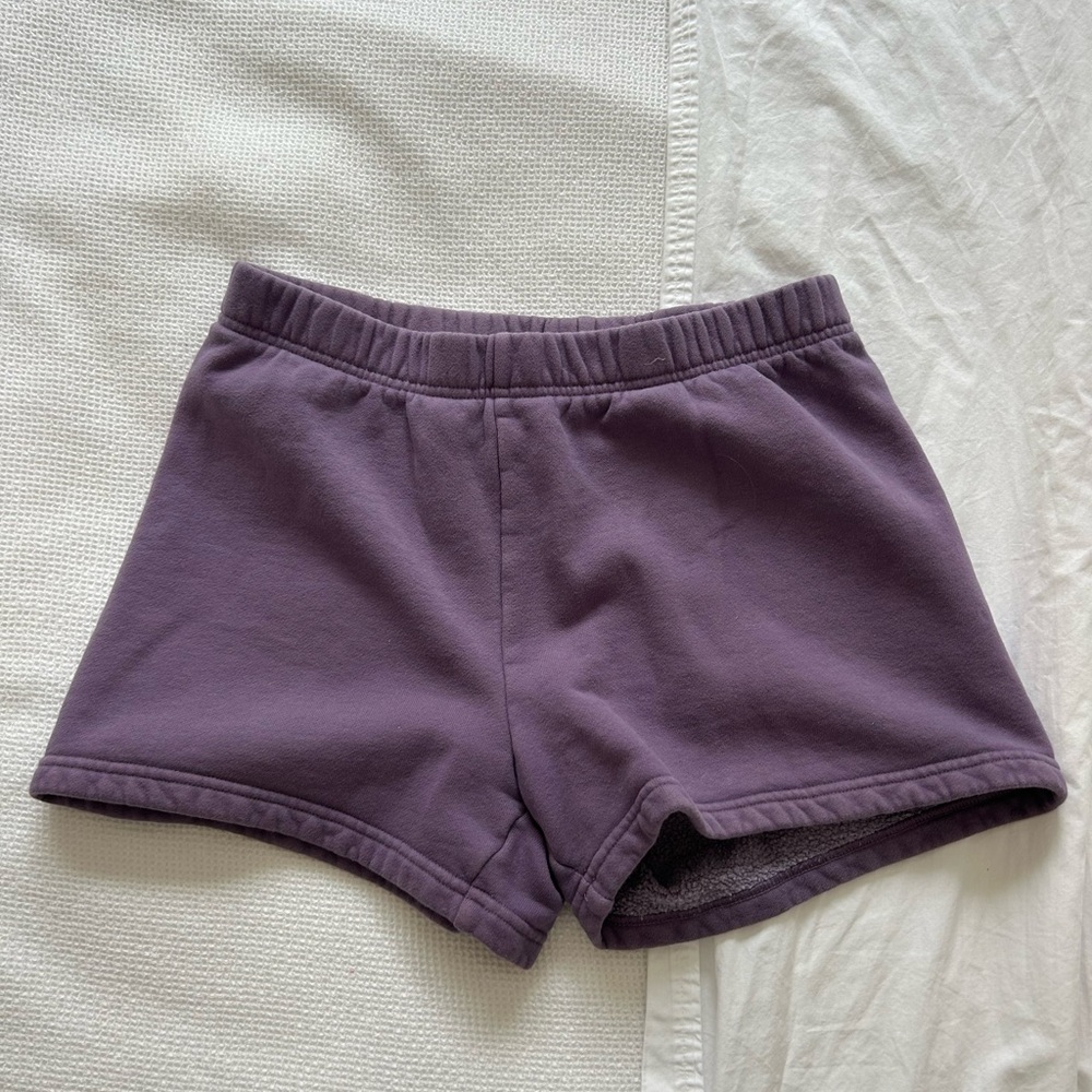 Aritzia Purple Athletic Shorts with Elastic Waistband